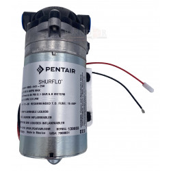 Pompe SHURFLO 8000-541-250